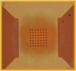 Optical image of Protochips heating stage showing the heating area